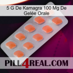 5 G De Kamagra 100 Mg De Gelée Orale 26
